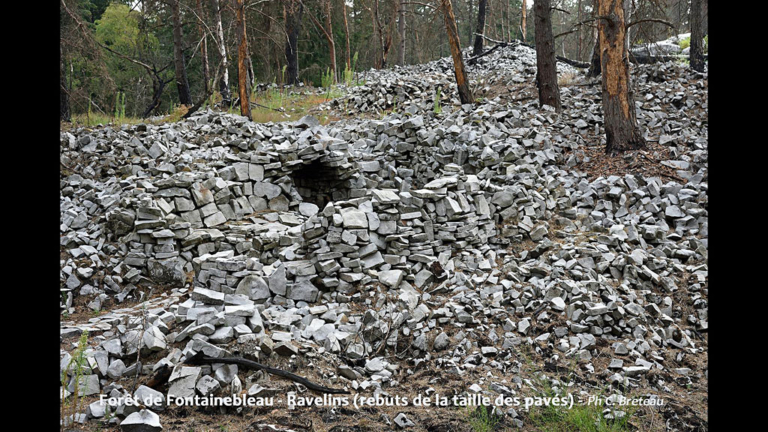 Forêt de Fontainebleau - Ravelins : rebuts de la taille des pavés